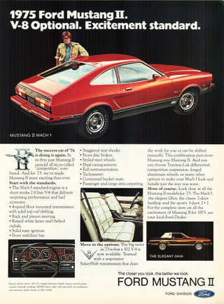Illustration for article titled The Story of two Mustangs
